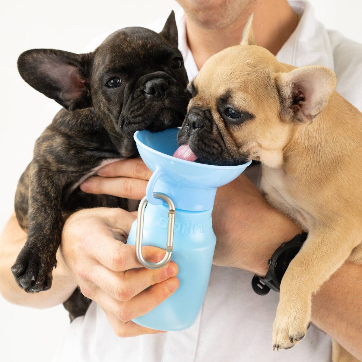 Springer Botella De Agua Para Perros - Mini (15 Oz) &Ndash; 1 &Ndash; Compraya 507 Dogs Drinking From A Springer Mini Dog Drinking Bottle