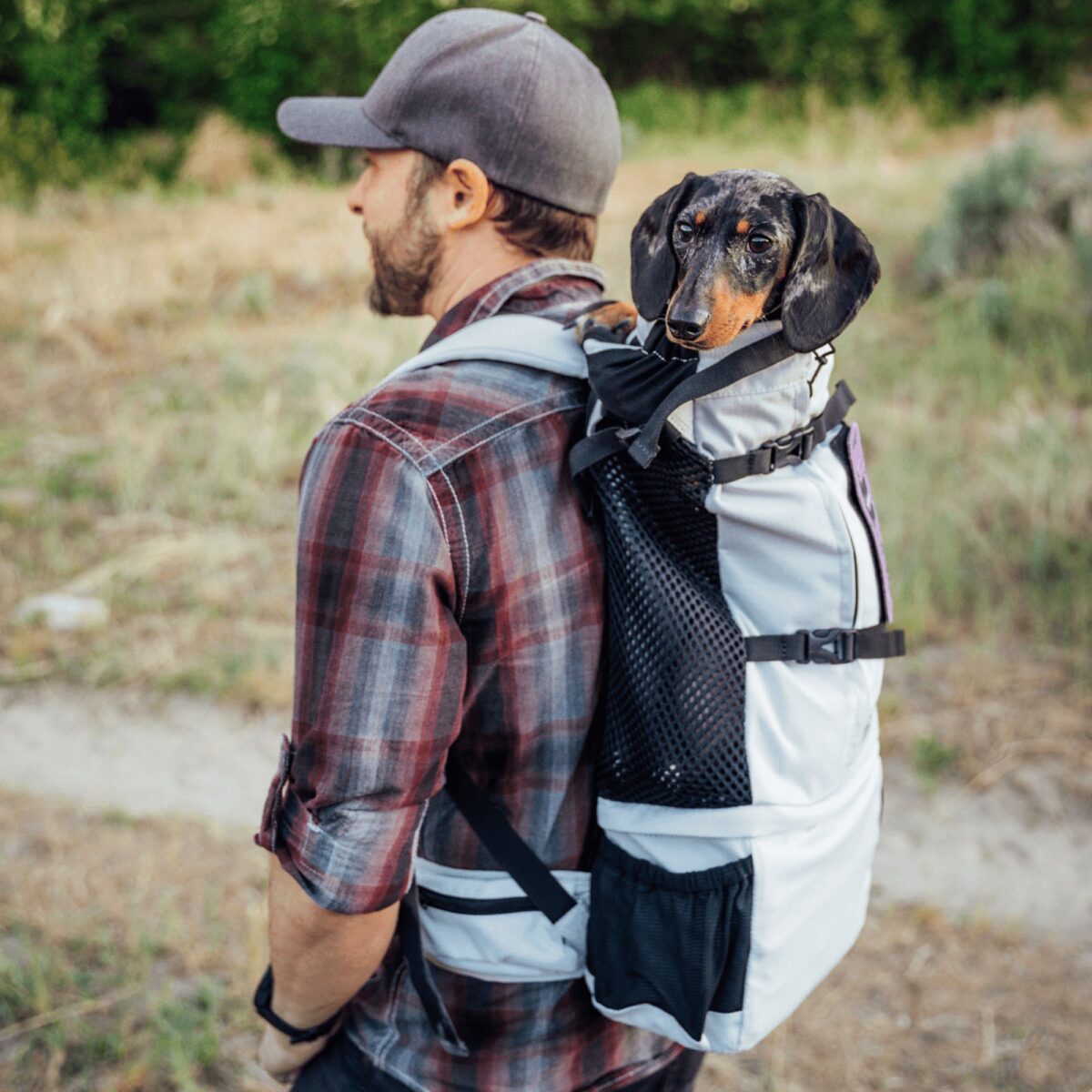K9 Mochila De Transporte Para Perros - Knavigate &Ndash; 5 &Ndash; Compraya 507 K9 Mochila De Transporte Para Perros - Knavigate - Image 5