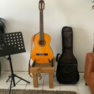 Acoustic Guitar Complete With Stand And Music Stand