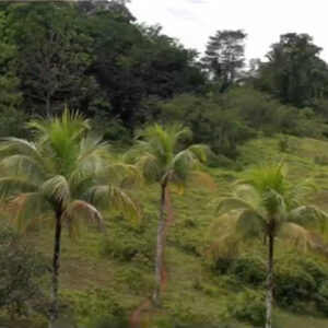 Terreno En Venta En Tierra Oscura