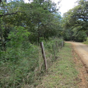 Land For Sale In Boquette