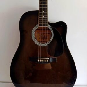 07 Usa Guitars Wg-54 Guitarra Acústica